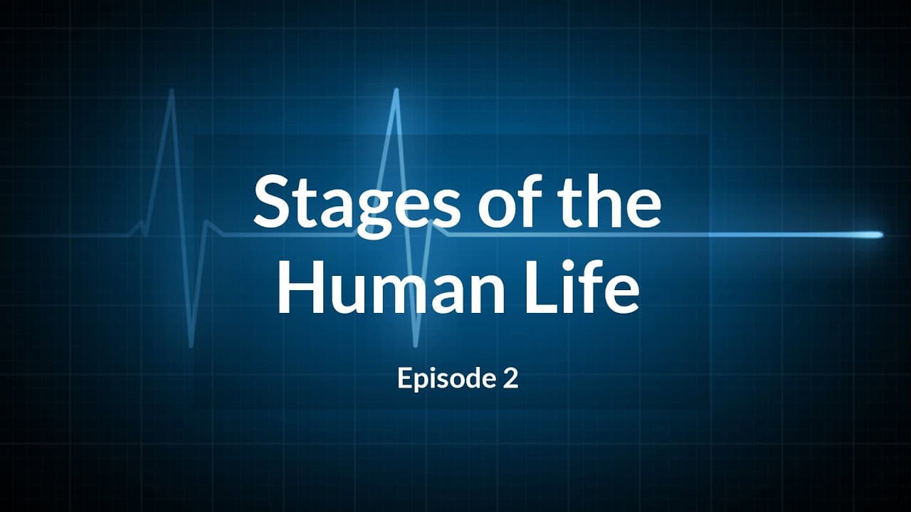 Stages of the Human Life in Islam (Ep.2)