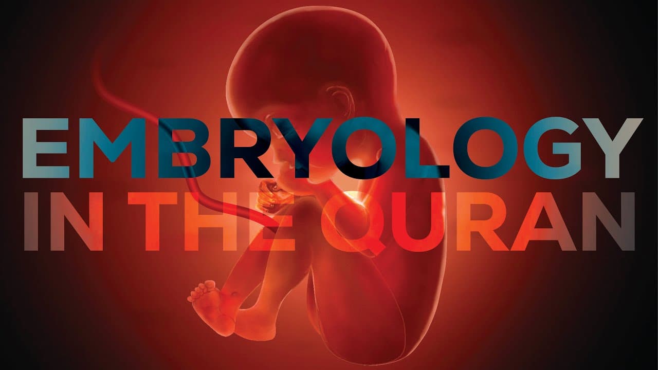 Embryology in the Quran! | Scientific Miracles of the Quran (Episode 5)