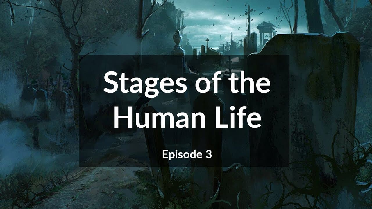Stages of the Human Life in Islam (Ep.3)