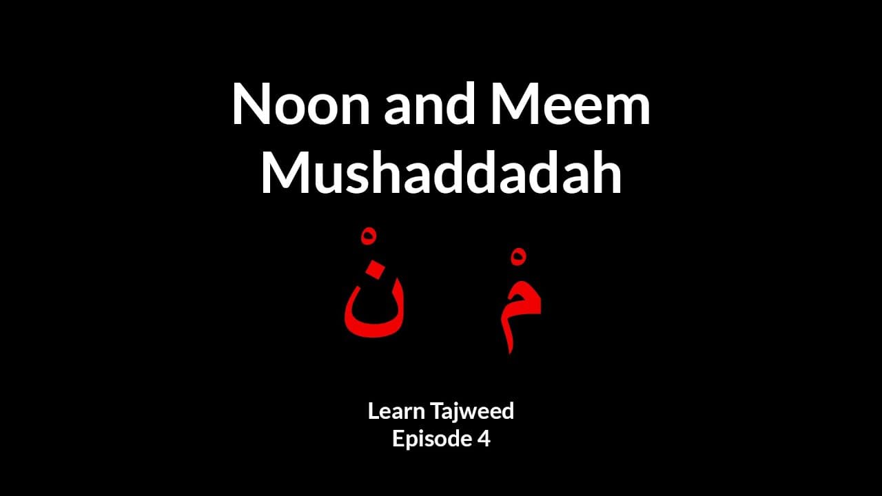 Noon and Meem Mushaddadah | Learn Tajweed (Episode 4)