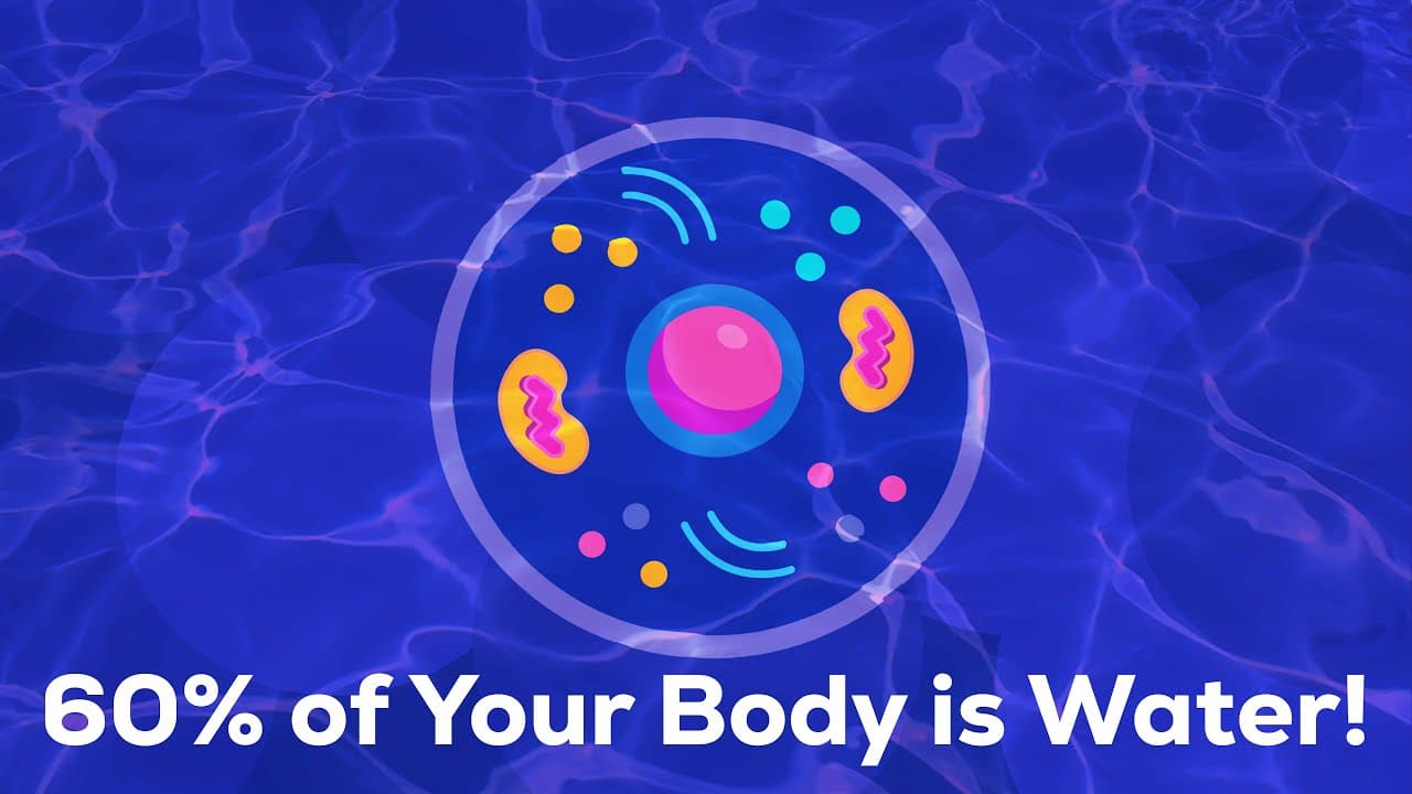60% of Your Body is Water! | Scientific Miracles of the Quran (Episode 2)