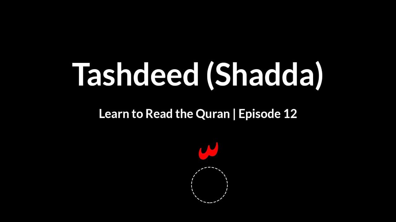 Tashdeed (Shadda) | Learn to Read the Quran (Episode 12)