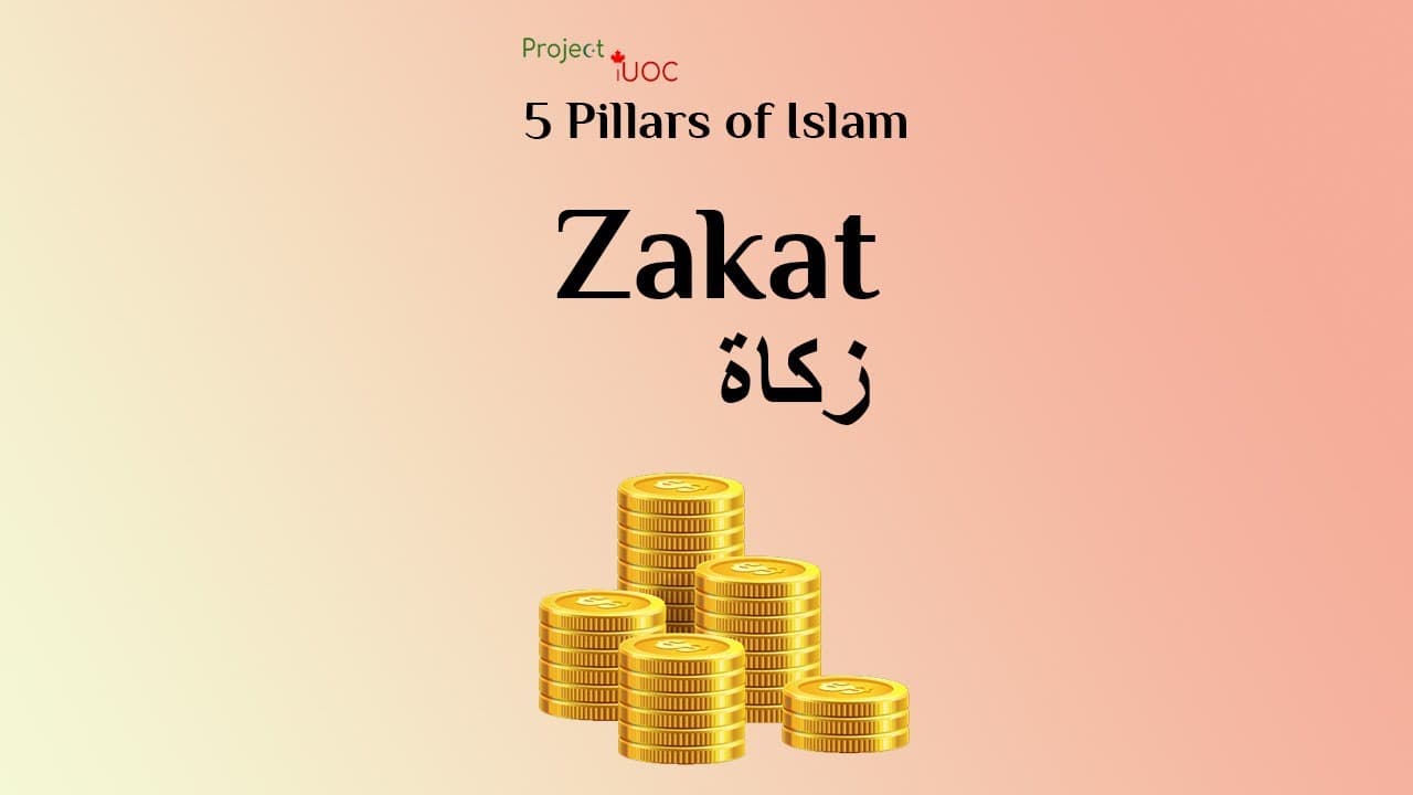 Zakat | The 5 Pillars of Islam